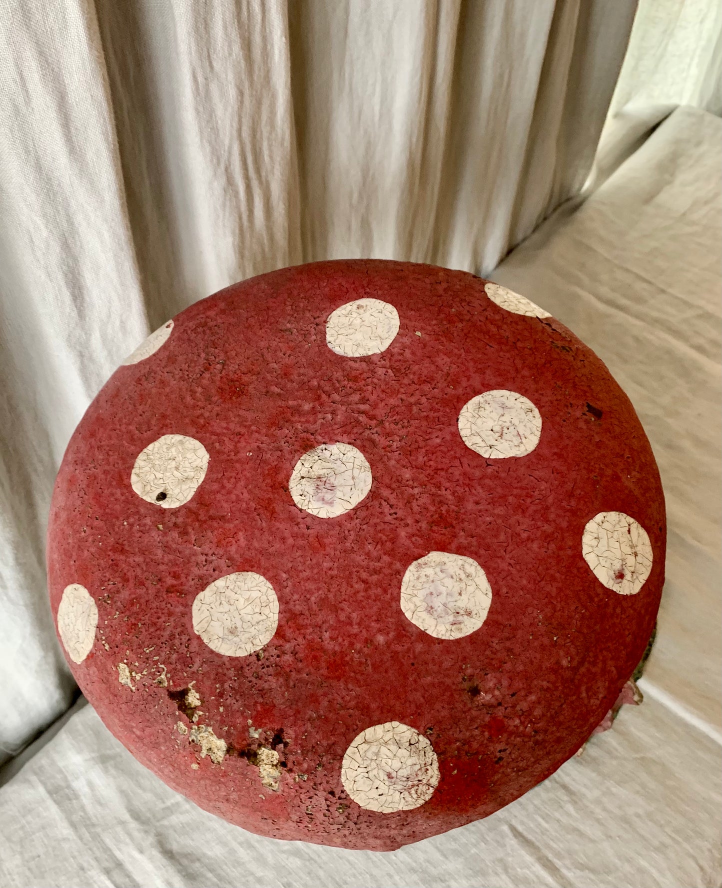 Concrete Mushroom Collection