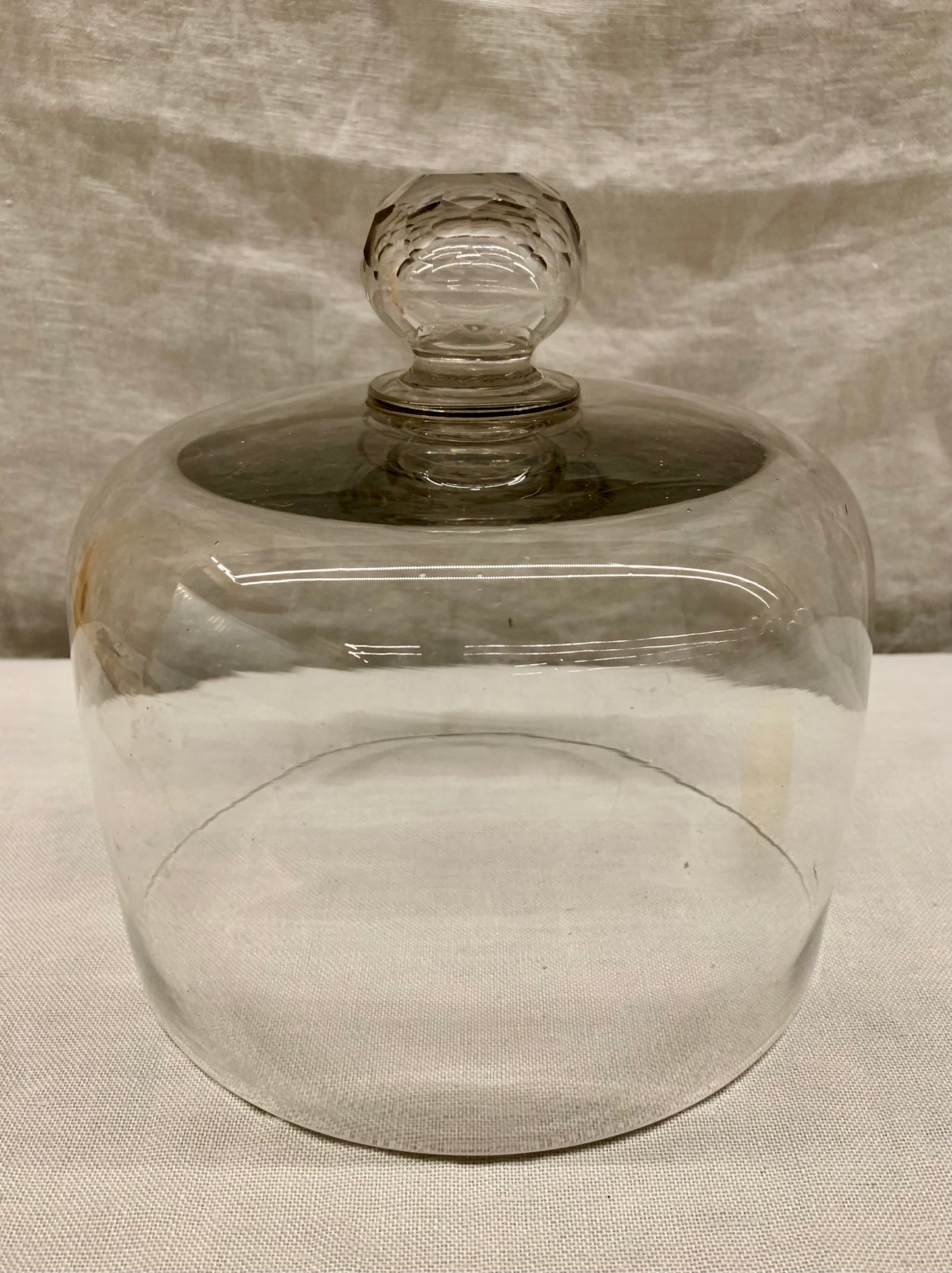 Glass Dome - Cloche