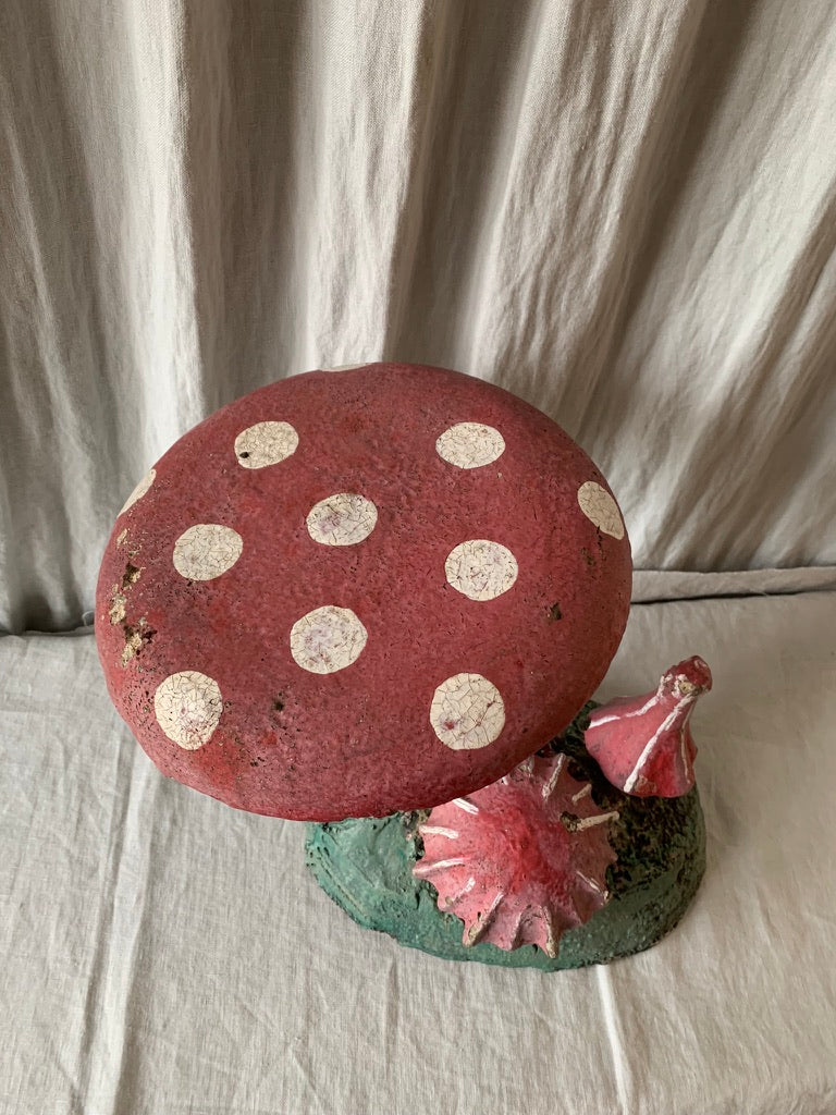Concrete Mushroom Collection