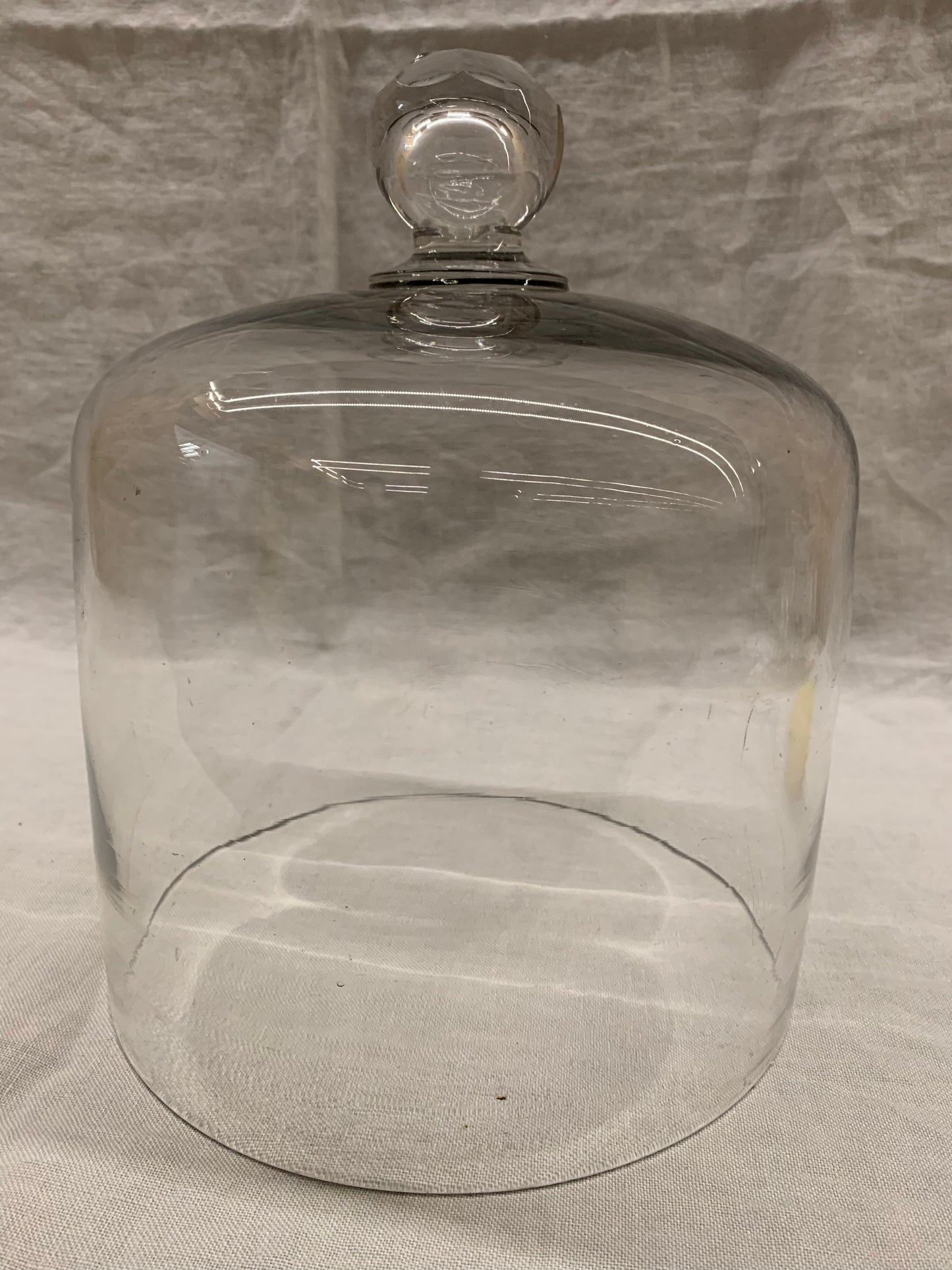 Glass Dome - Cloche