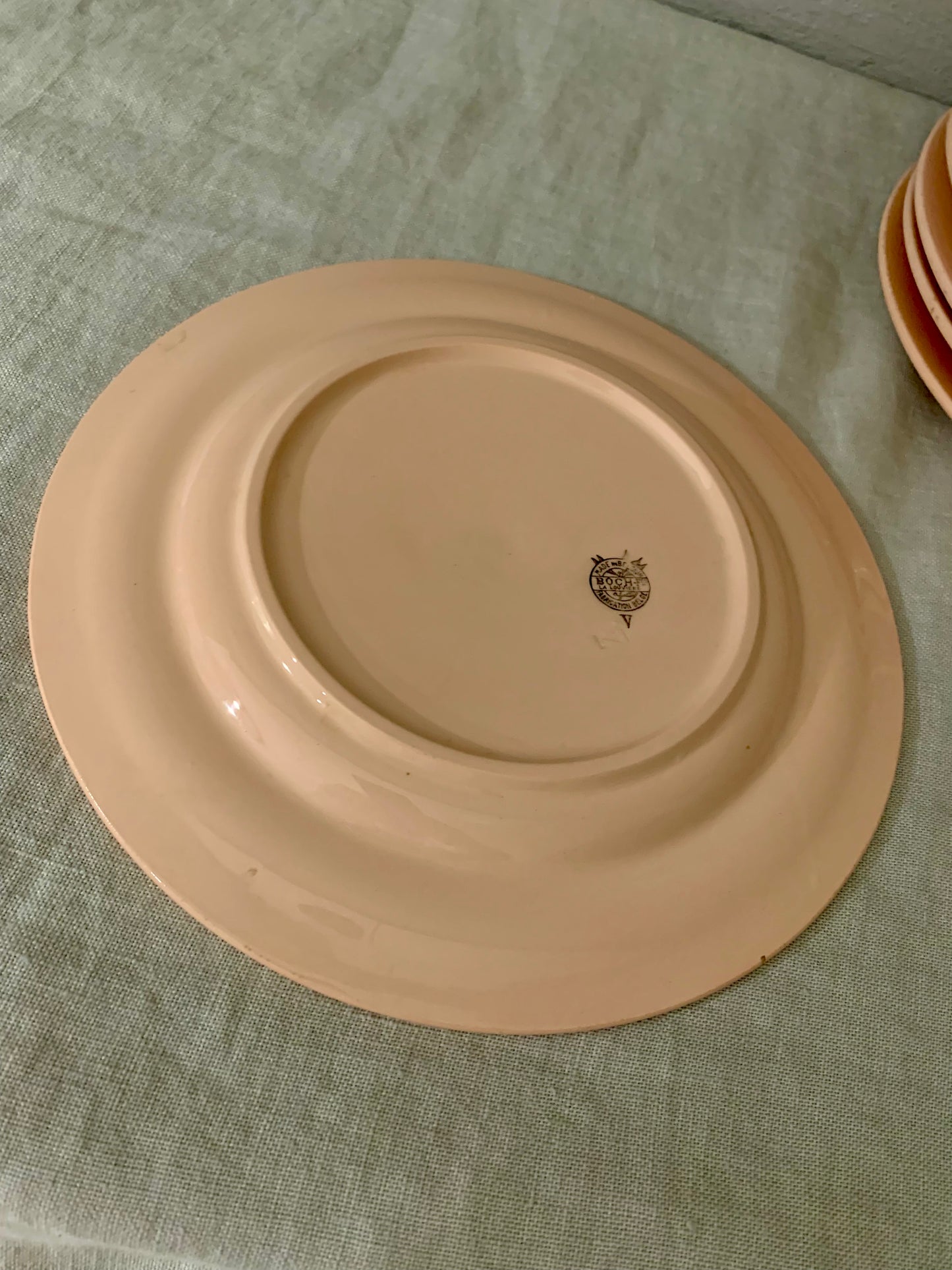 Pink Earthenware Asparagus Plate