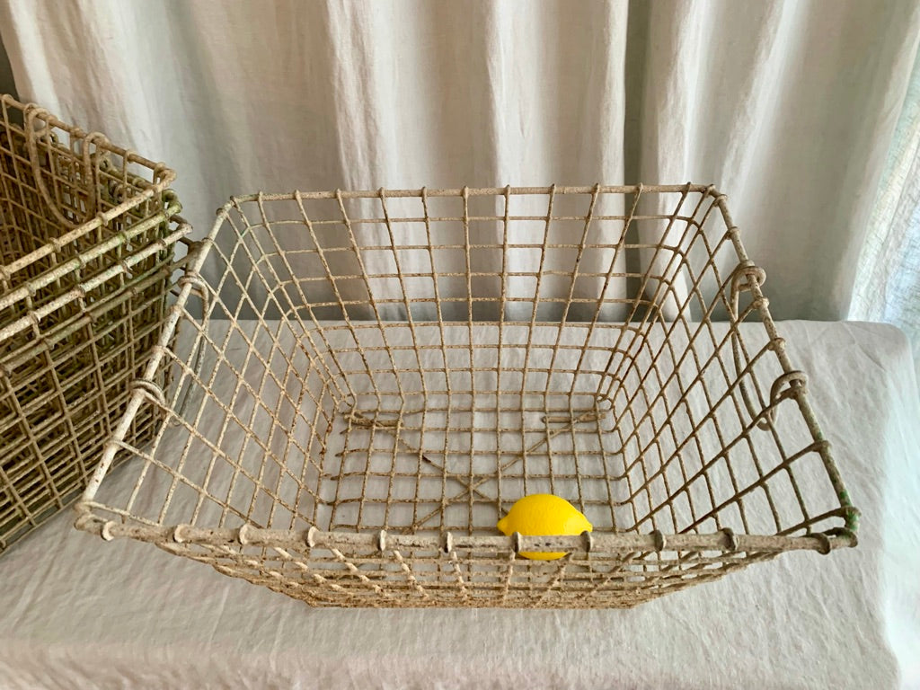 Oyster Harvest Basket