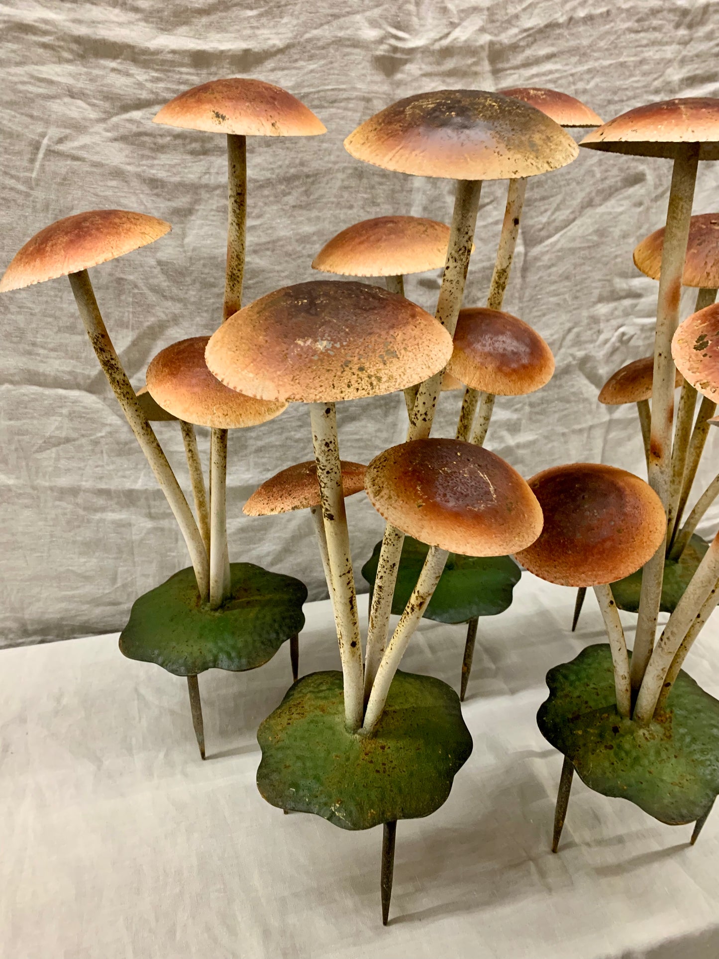 Garden Mushroom