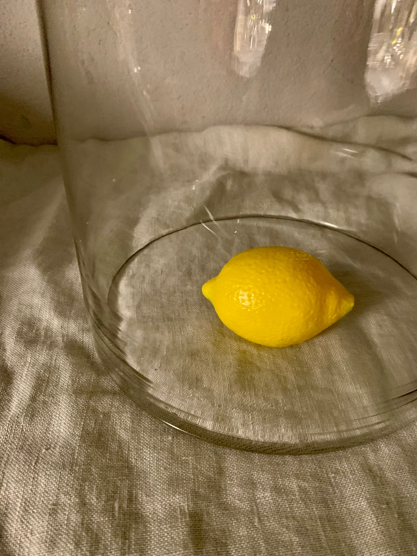 French Laboratory Glass Dome - Cloche