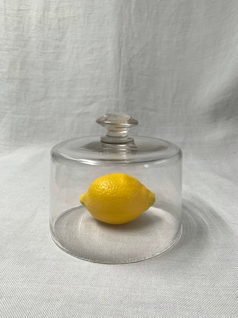 Glass Dome