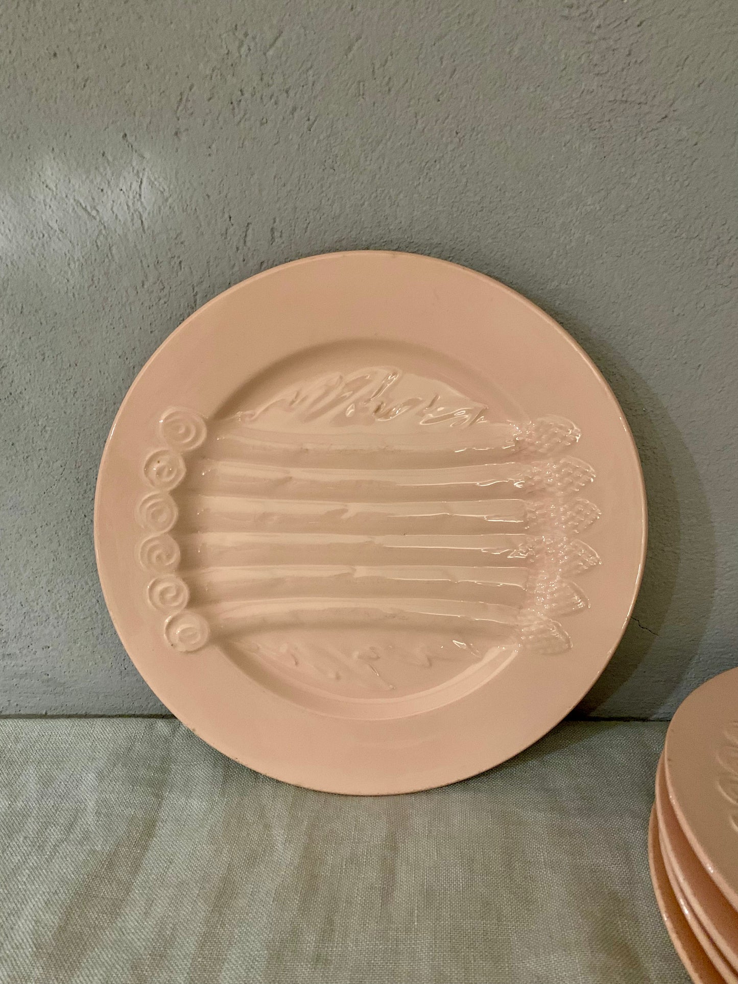 Pink Earthenware Asparagus Plate