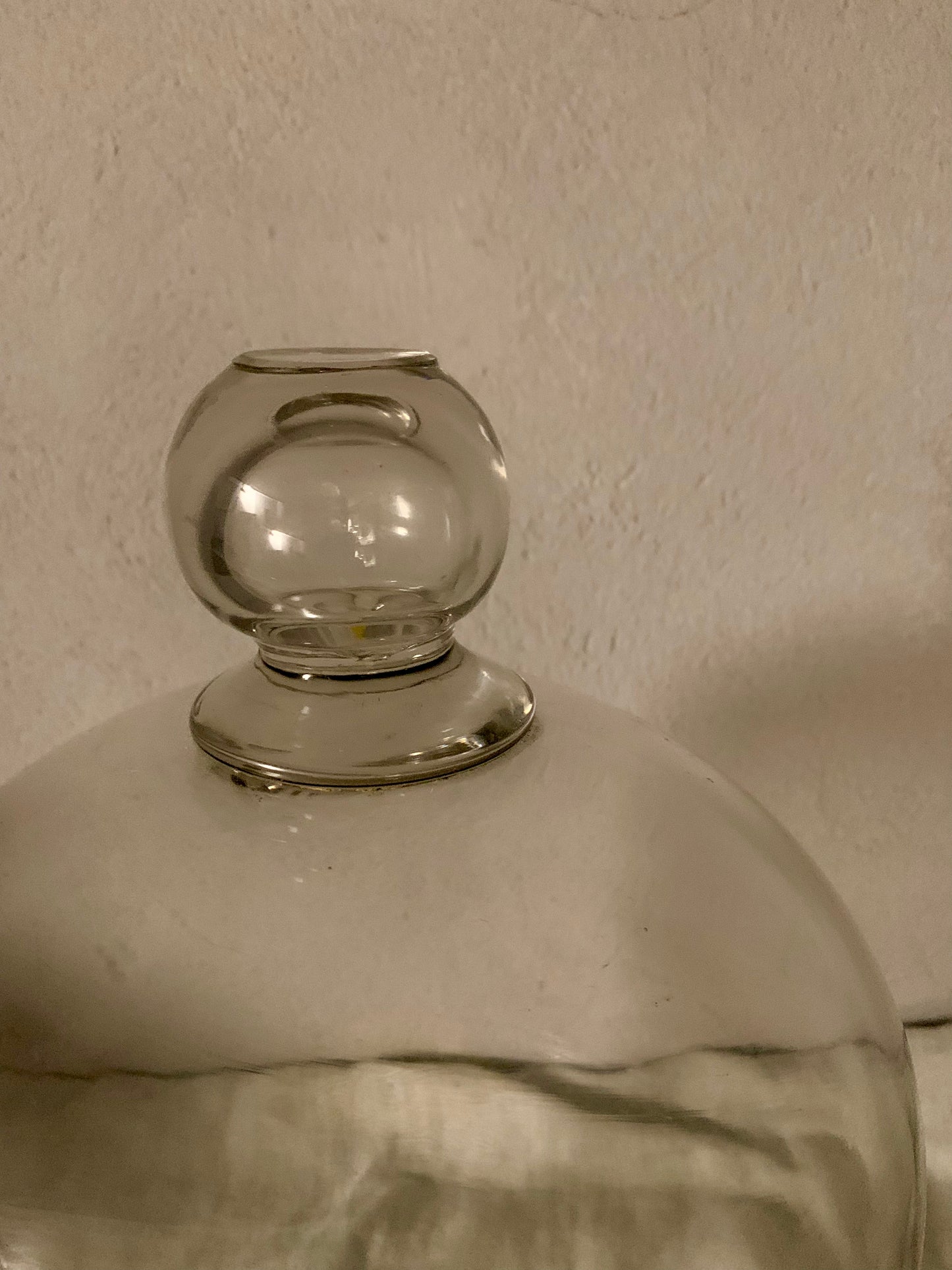French Laboratory Glass Dome - Cloche