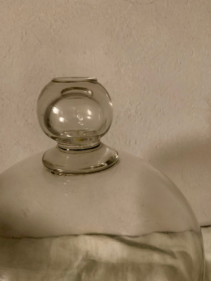 French Laboratory Glass Dome - Cloche