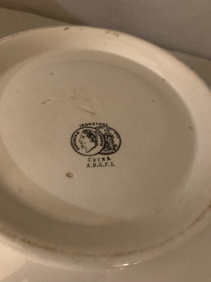 Salad Bowl
