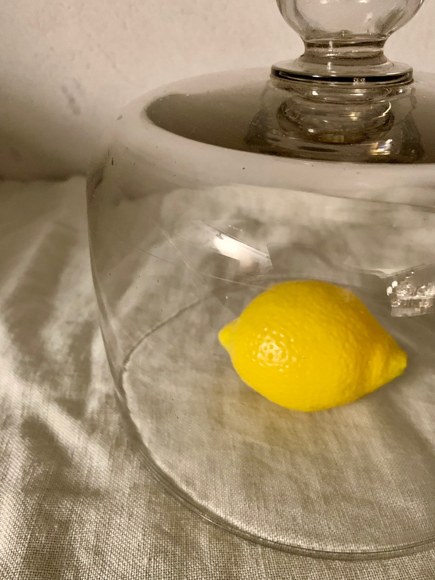 French Laboratory Glass Dome