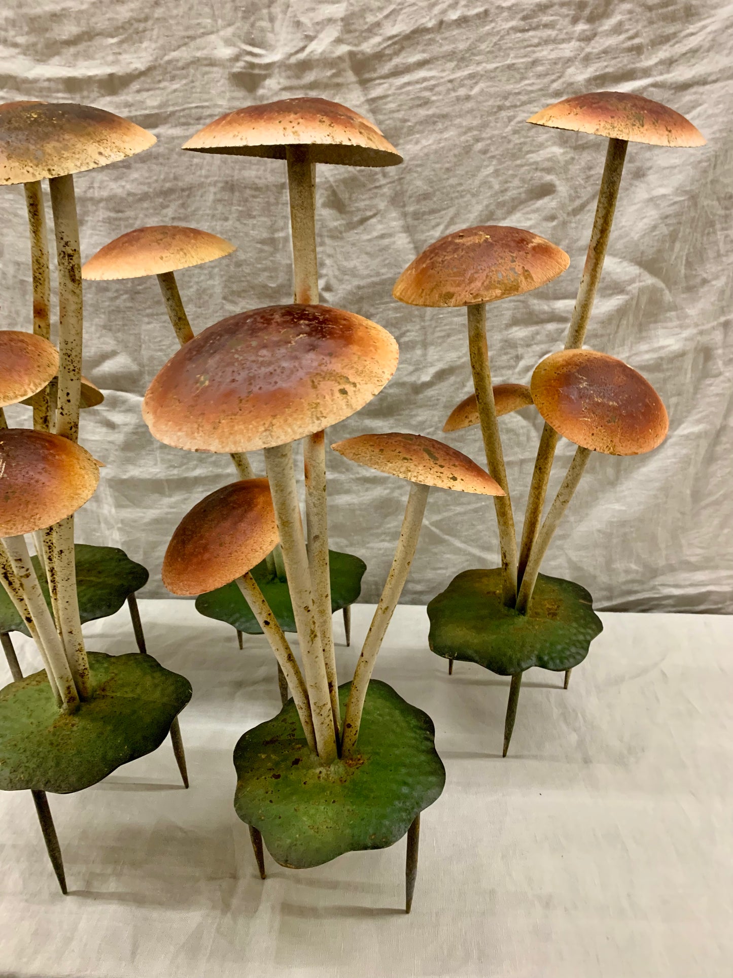 Garden Mushroom
