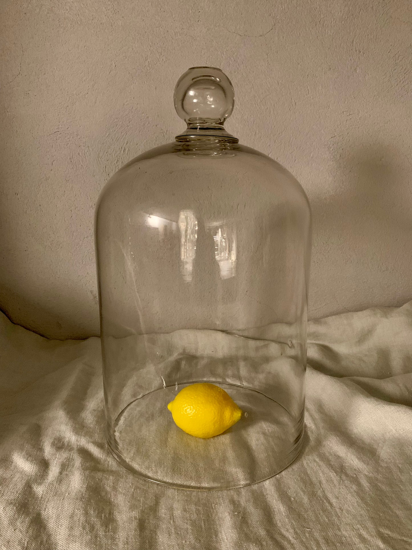 French Laboratory Glass Dome - Cloche