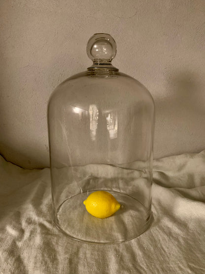 French Laboratory Glass Dome - Cloche