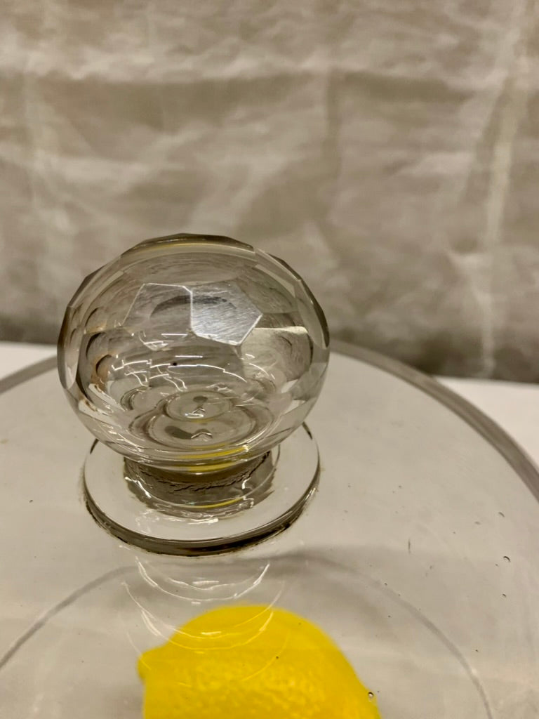 Glass Dome - Cloche