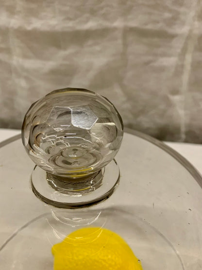 Glass Dome - Cloche