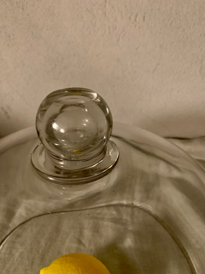 French Laboratory Glass Dome