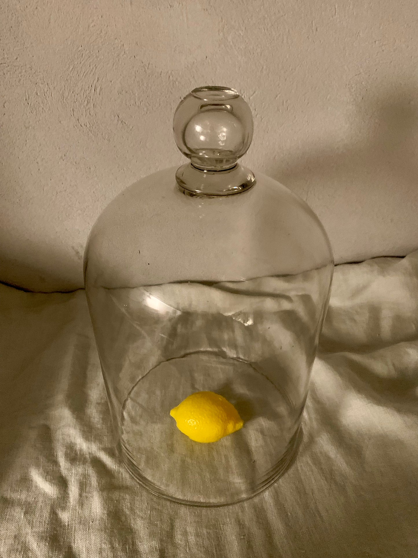 French Laboratory Glass Dome - Cloche