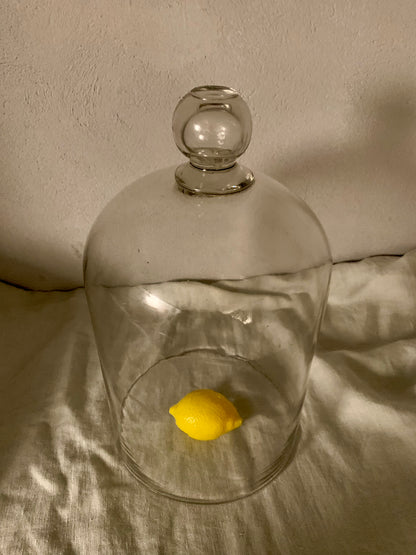 French Laboratory Glass Dome - Cloche