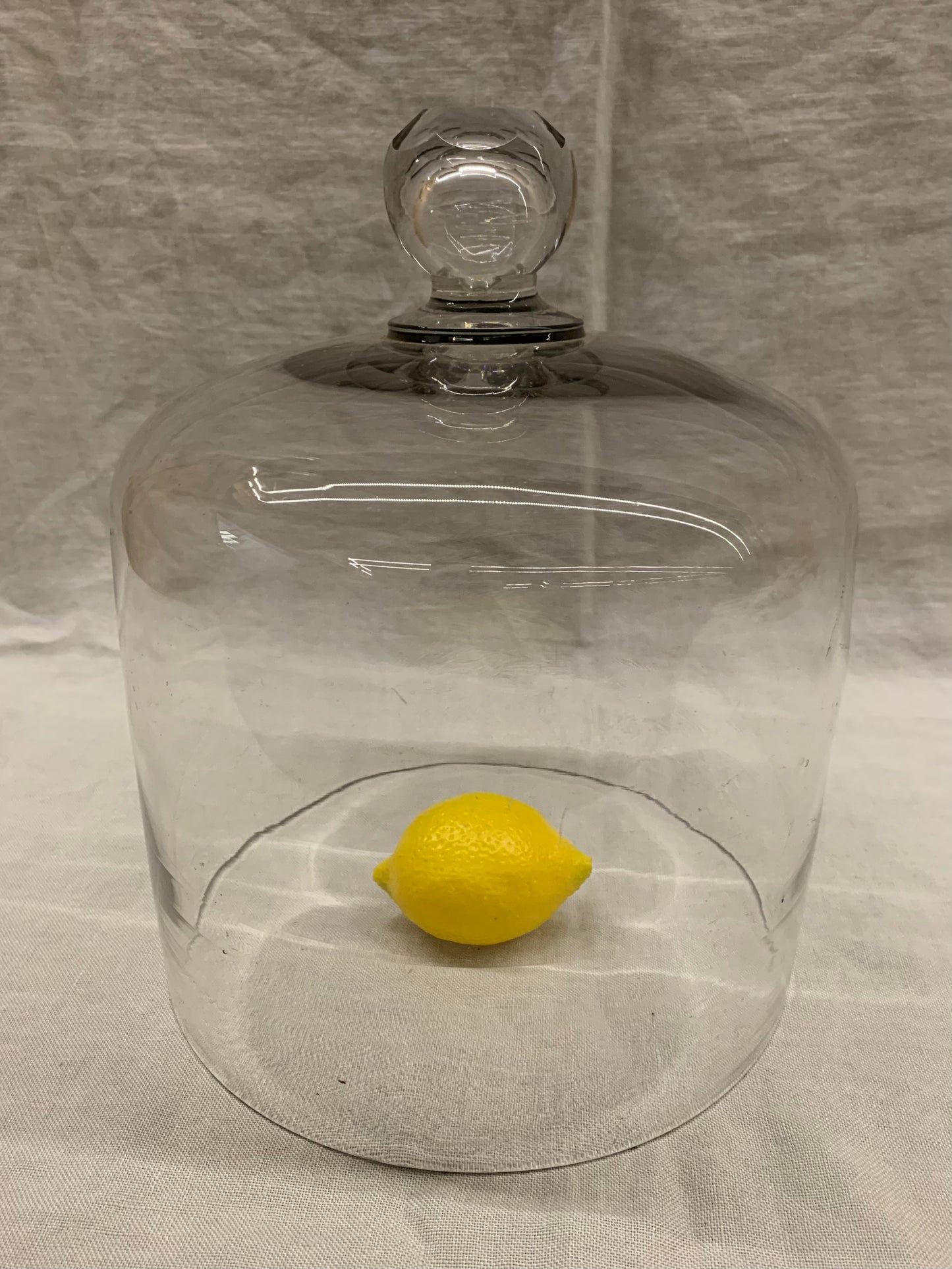 Glass Dome - Cloche