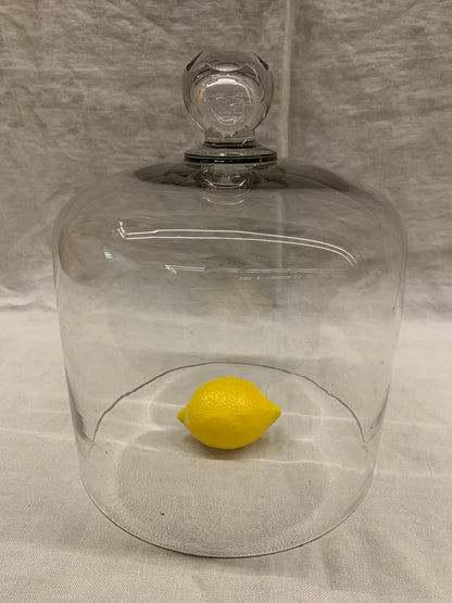 Glass Dome - Cloche
