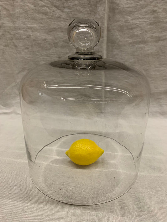 Glass Dome - Cloche