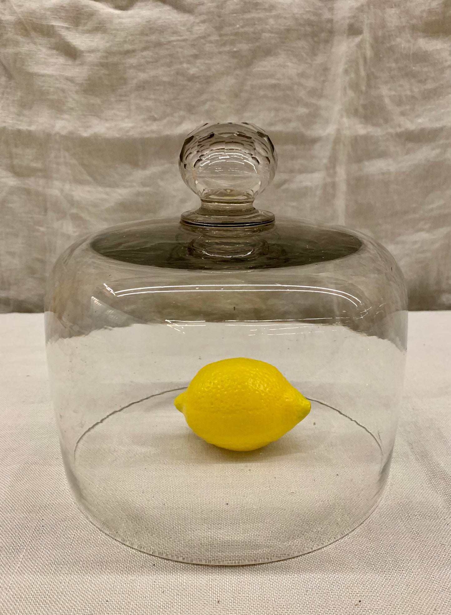 Glass Dome - Cloche