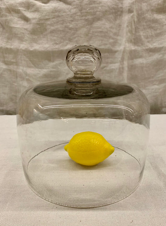 Glass Dome - Cloche