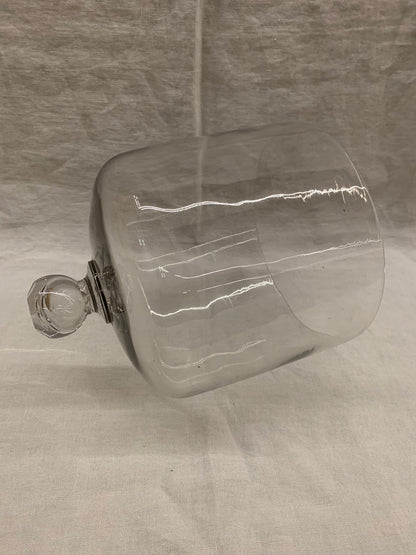 Glass Dome - Cloche