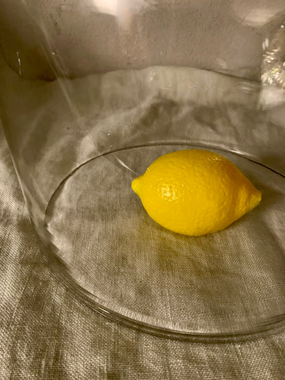 French Laboratory Glass Dome - Cloche