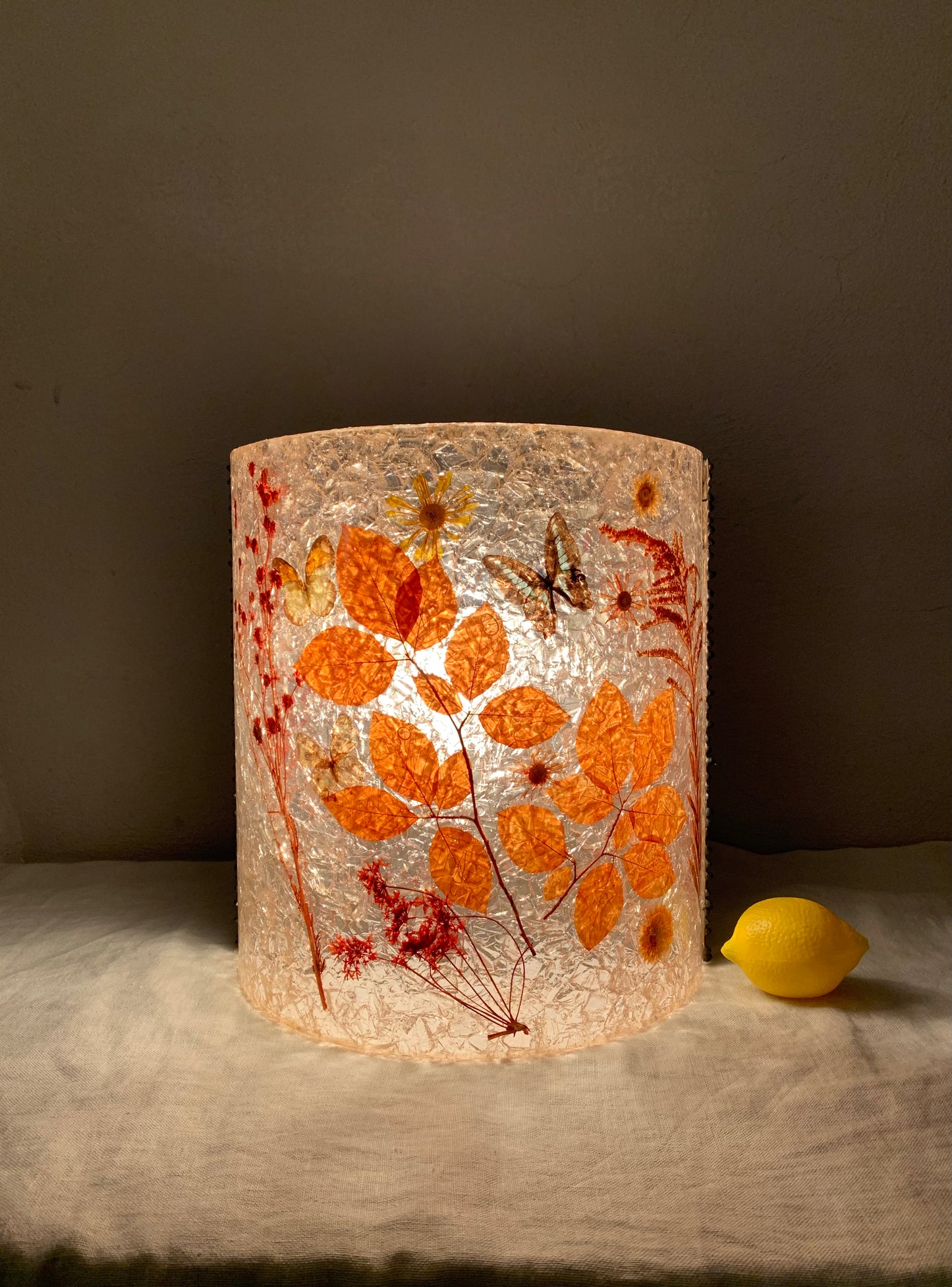 1960-1970s Resin Wall Lamp
