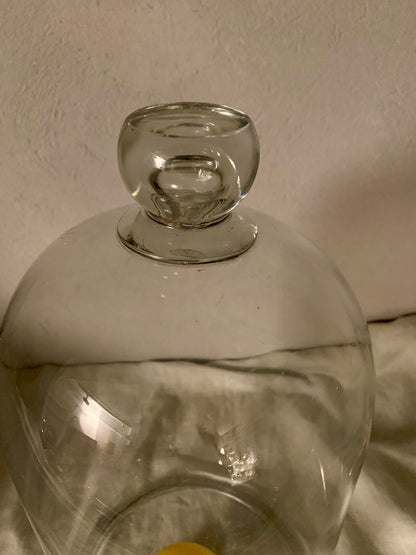 French Laboratory Glass Dome