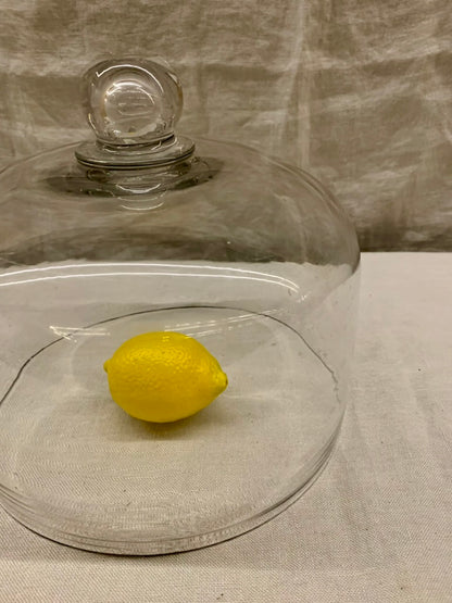 Glass Dome - Cloche
