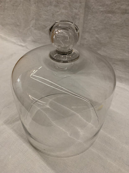 Glass Dome - Cloche