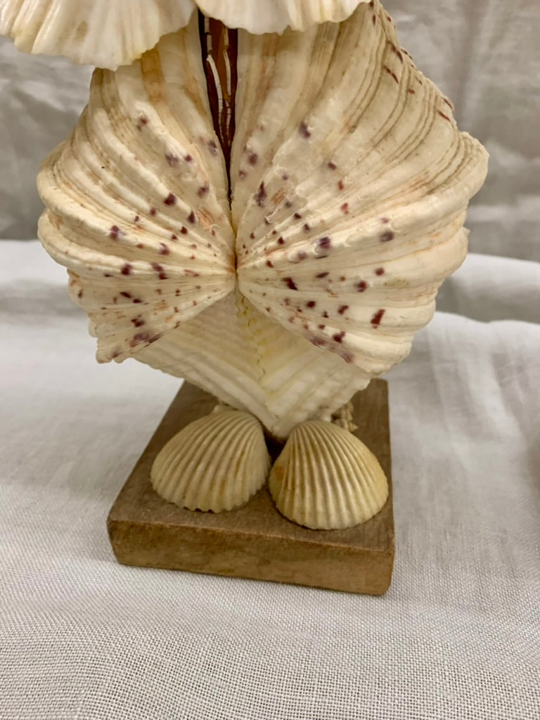 Seashell Owl
