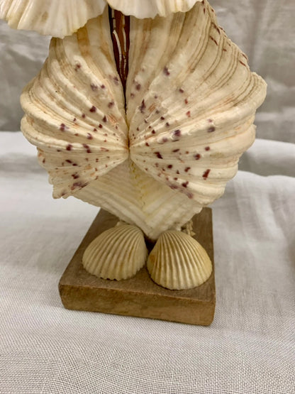 Seashell Owl