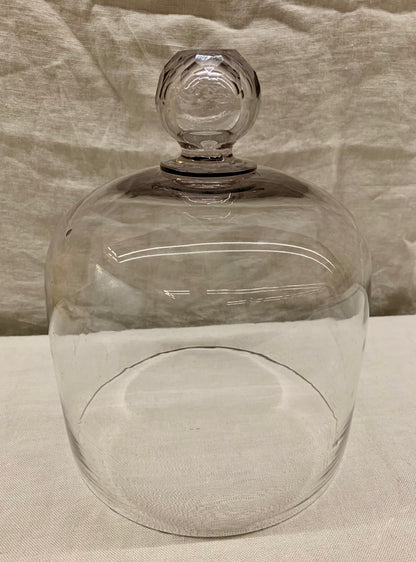 Glass Dome - Cloche