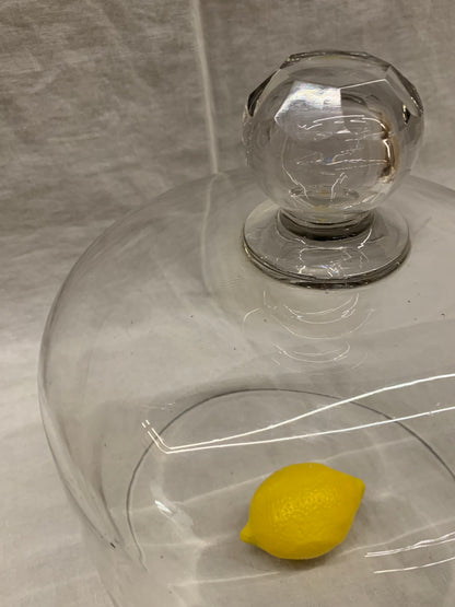 Glass Dome - Cloche