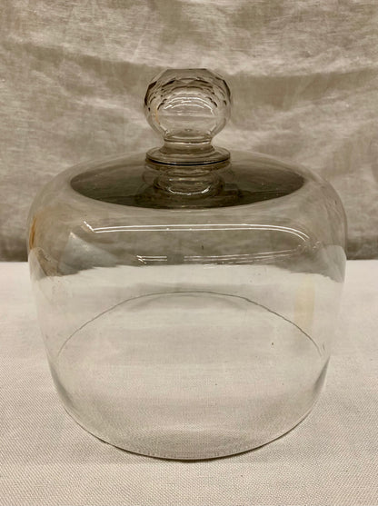 Glass Dome - Cloche