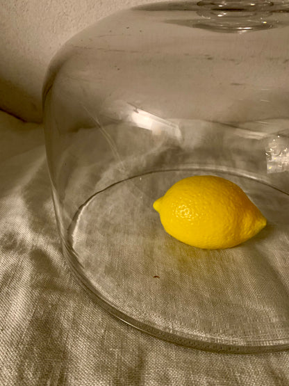 French Laboratory Glass Dome