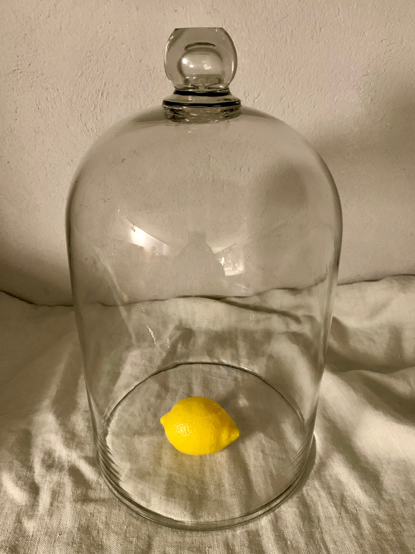 French Laboratory Glass Dome