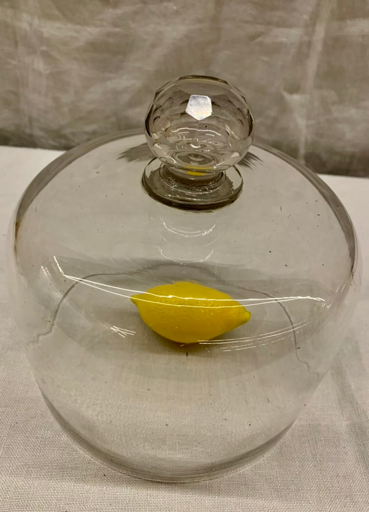 Glass Dome - Cloche