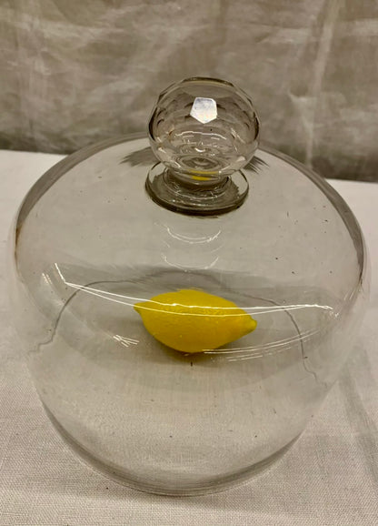 Glass Dome - Cloche