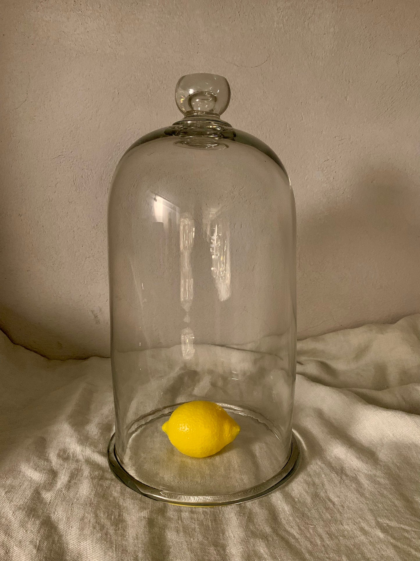 French Laboratory Glass Dome