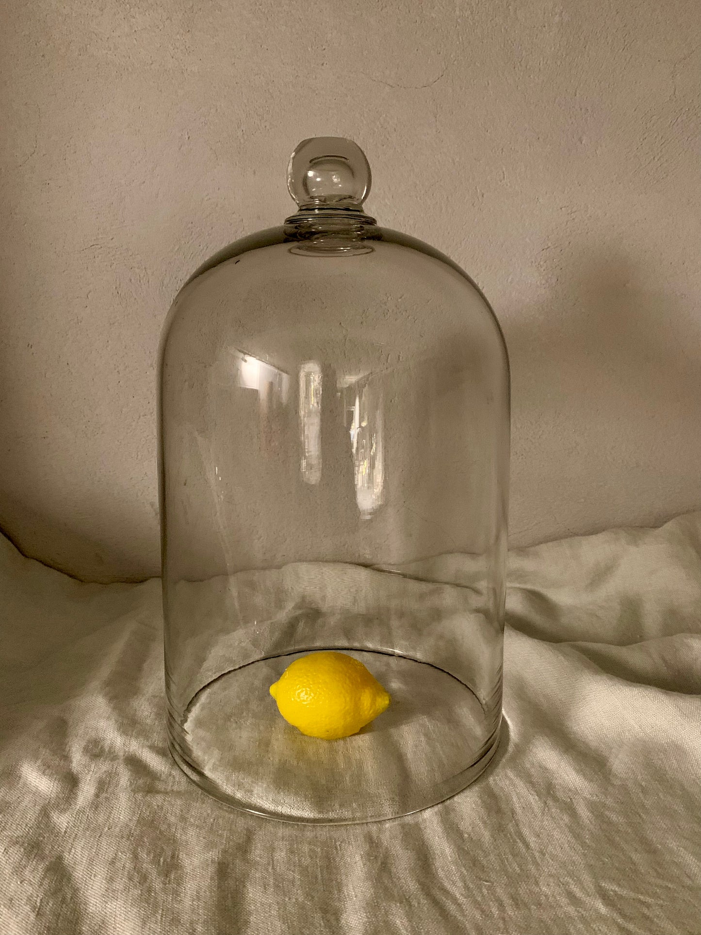 French Laboratory Glass Dome