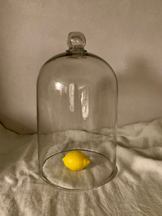 French Laboratory Glass Dome