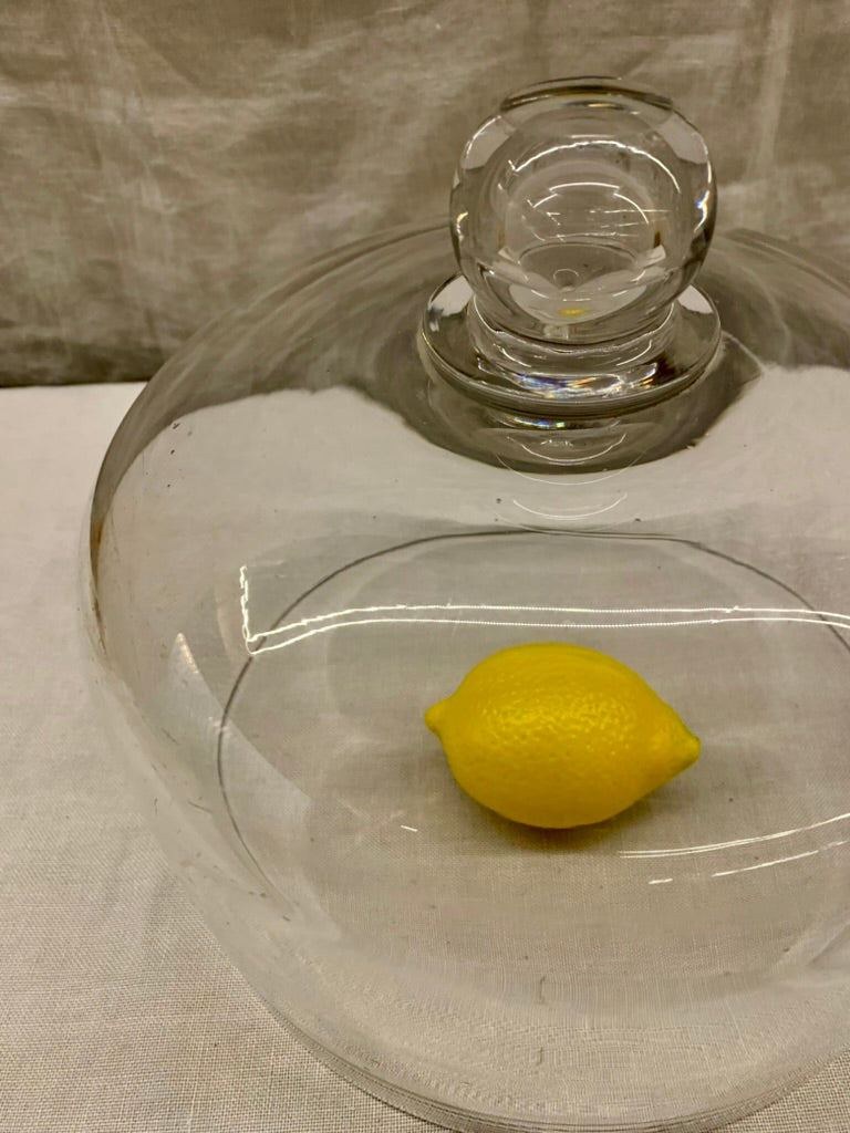 Glass Dome - Cloche