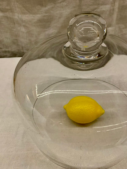 Glass Dome - Cloche