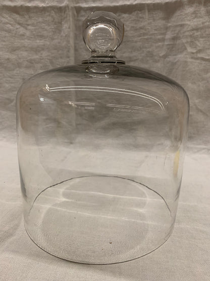Glass Dome - Cloche