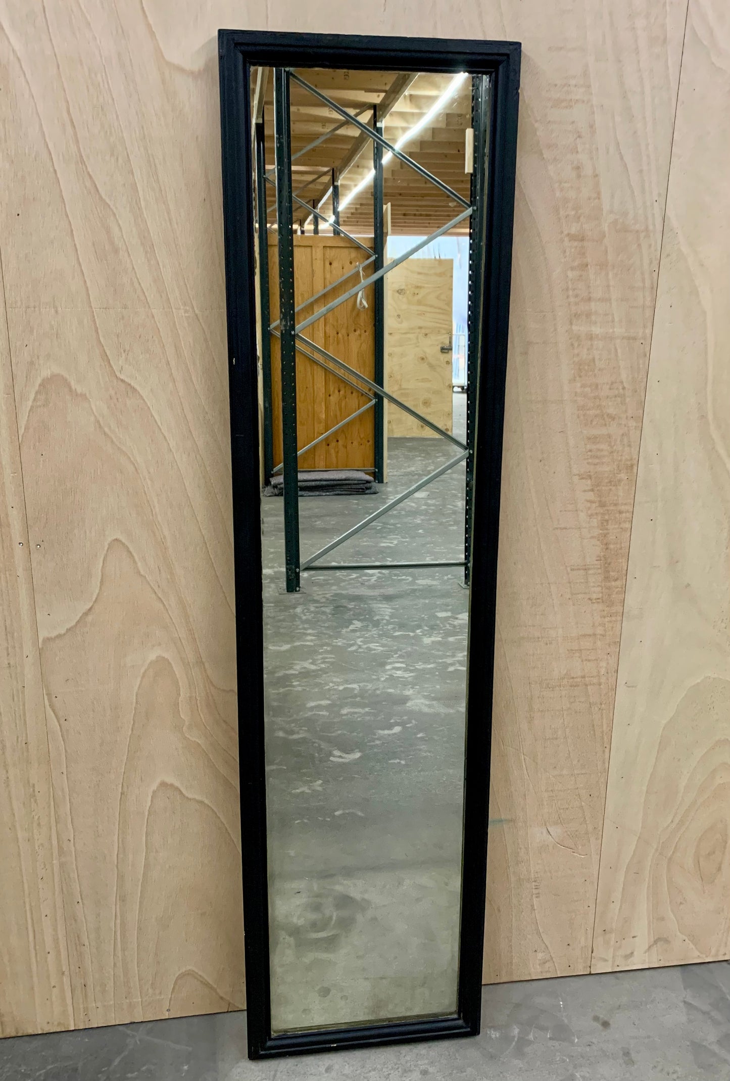 Tall Full Figure Mirror