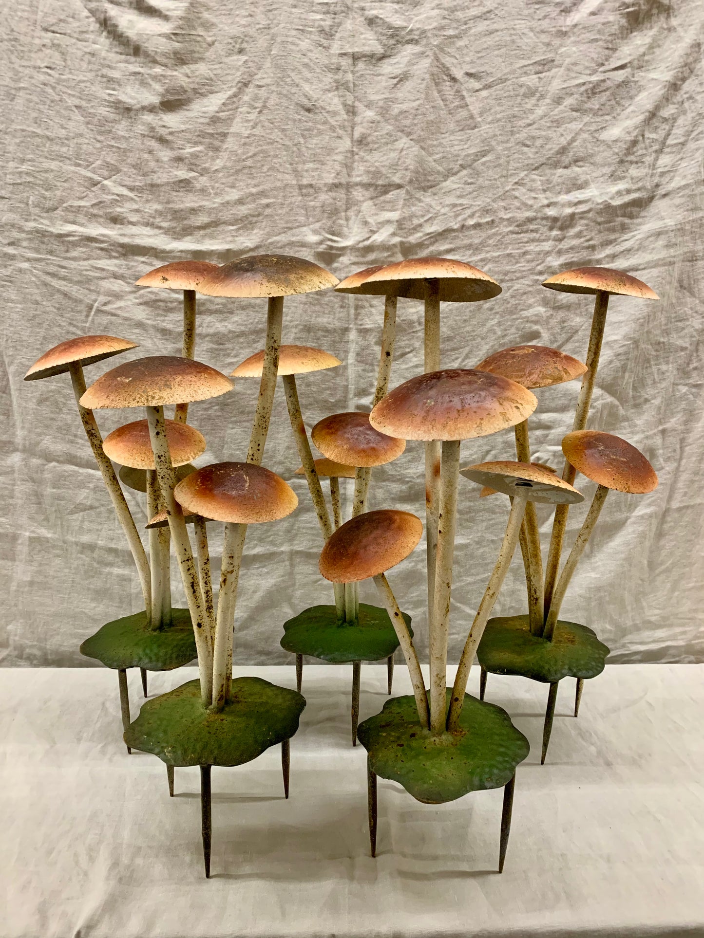 Garden Mushroom